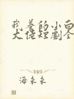 我养的小白脸是大佬短剧全集在线观看