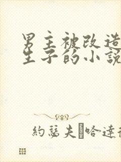 男主被改造囚禁生子的小说