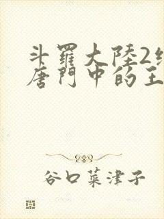 斗罗大陆2绝世唐门中的王冬