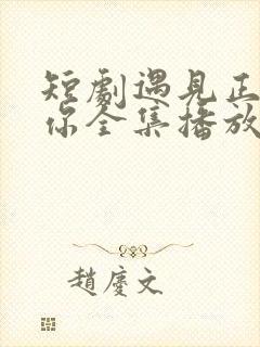 短剧遇见正确的你全集播放