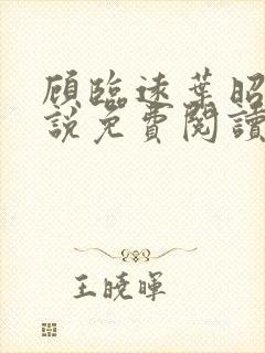 顾临远叶昭北小说免费阅读最新章节