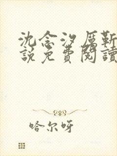 沈念汐厉靳琛小说免费阅读最新章节