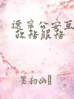 辽宁公安互联网 政务服务