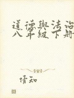 道德与法治精编八年级下册电子书