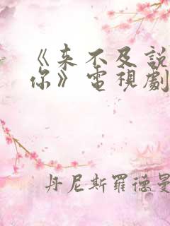 《来不及说我爱你》电视剧36集全