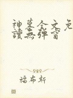 神墓全文免费阅读无弹窗