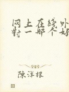 网上在线外教一对一哪个好