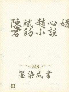 陈斌赵心媚高婉君的小说