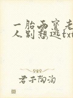 一胎两宝老婆大人别想逃txt