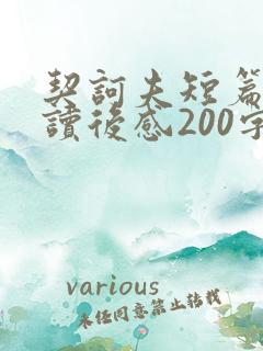 契诃夫短篇小说读后感200字