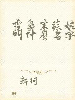 霍枭寒苏婉小说叫什么名字