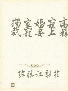 独家婚宠高冷总裁宠妻上瘾免费阅读全文