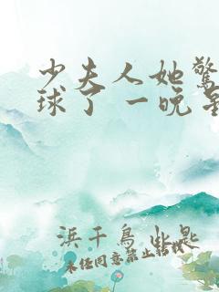 少夫人她惊艳全球了 一晚星河