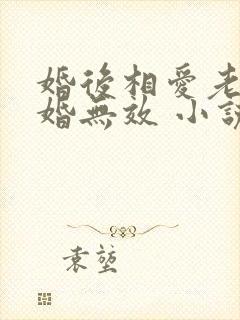 婚后相爱老婆离婚无效 小说