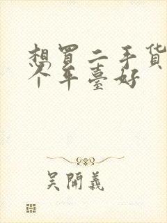 想买二手货车哪个平台好