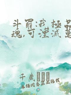 斗罗:我极品武魂,可湮灭万物