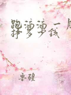 跑滴滴 一月能挣多少钱