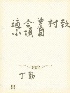 适合农村致富的小项目