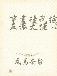 穿书后我捡到了反派大佬 小说