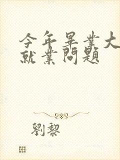 今年毕业大学生就业问题