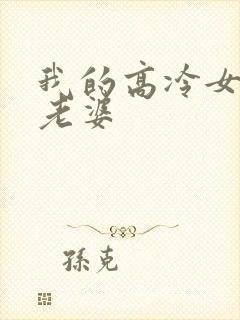 我的高冷女总裁老婆