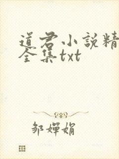 道君小说精校版全集txt