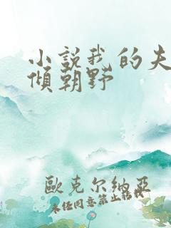 小说我的夫君权倾朝野