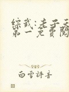 综武:老子天下第一免费阅读全文