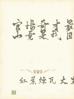 官场奇才最强靠山竟是我自己李澜全文阅读