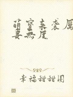 萌宝来袭厉总宠妻无度