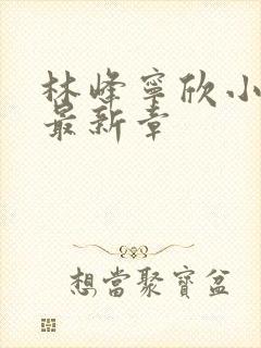 林峰宁欣小说文最新章