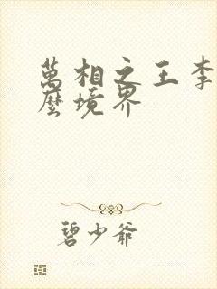 万相之王李洛什么境界