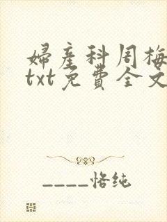 妇产科周梅赵斌txt免费全文阅读