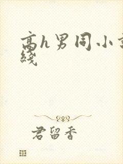 高h男同小说在线