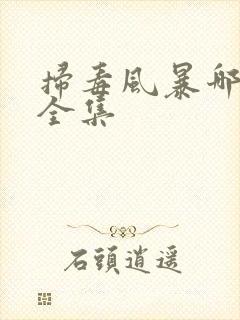 扫毒风暴哪里看全集