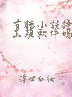 有听小说挣钱的正规软件吗