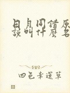 日月同错原著小说叫什么名字