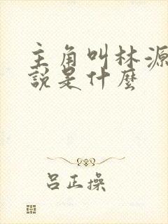 主角叫林源的小说是什么