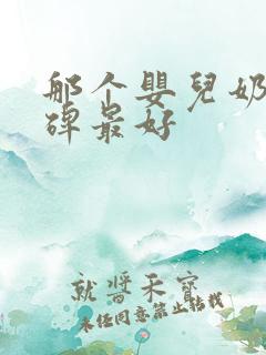 那个婴儿奶粉口碑最好