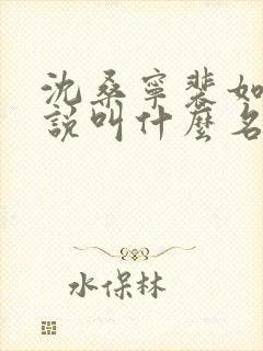 沈桑宁裴如珩小说叫什么名字