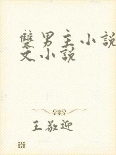 双男主小说高干文小说