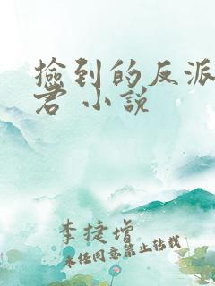 捡到的反派成夫君 小说