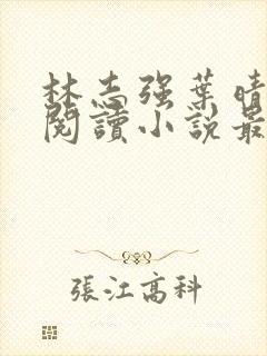 林志强叶晴免费阅读小说最新章节