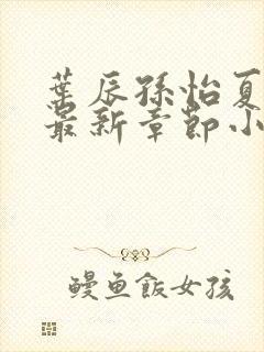 叶辰孙怡夏若雪最新章节小说