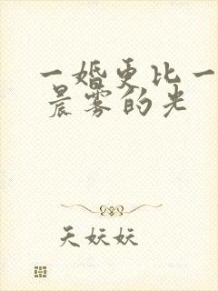 一婚更比一婚高 晨雾的光