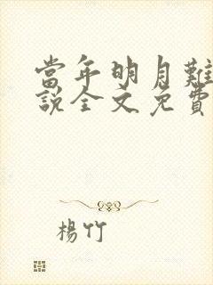 当年明月难寻小说全文免费阅读最新章节