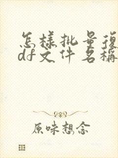 怎样批量复制pdf文件名称