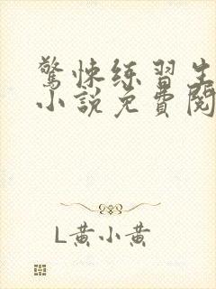 惊悚练习生正版小说免费阅读