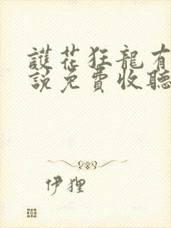 护花狂龙有声小说免费收听