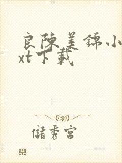 良陈美锦小说txt下载